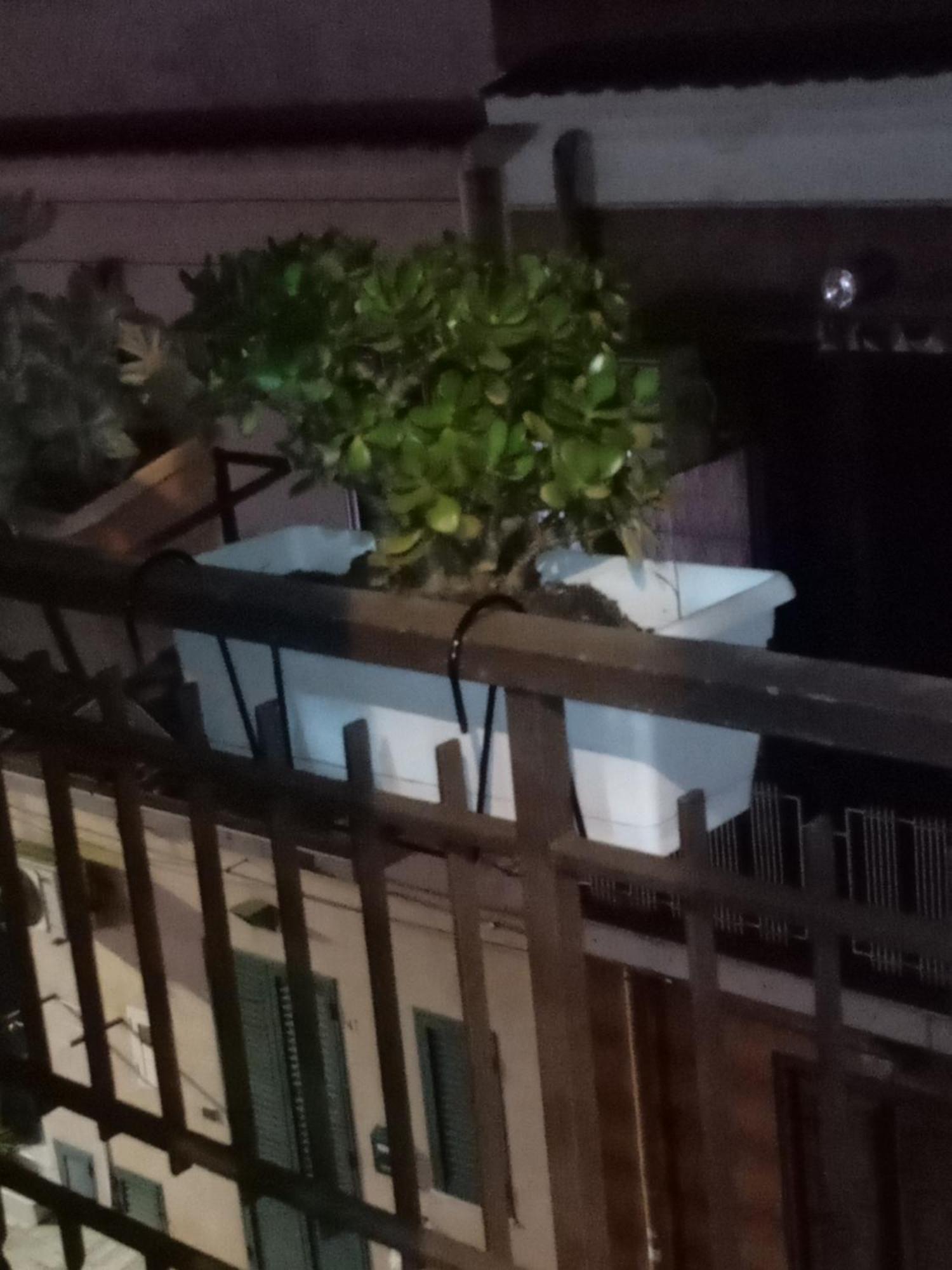 Casa Alice Hotel Isola delle Femmine Kültér fotó